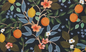 Rifle Paper Citrus Grove Cork Placemats Set of 4