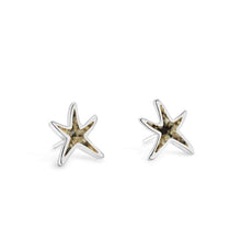 Load image into Gallery viewer, Dune Jewelry Delicate Starfish Stud Earrings - FINAL SALE
