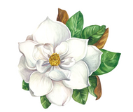 Hester & Cook Die-Cut Magnolia Placemats
