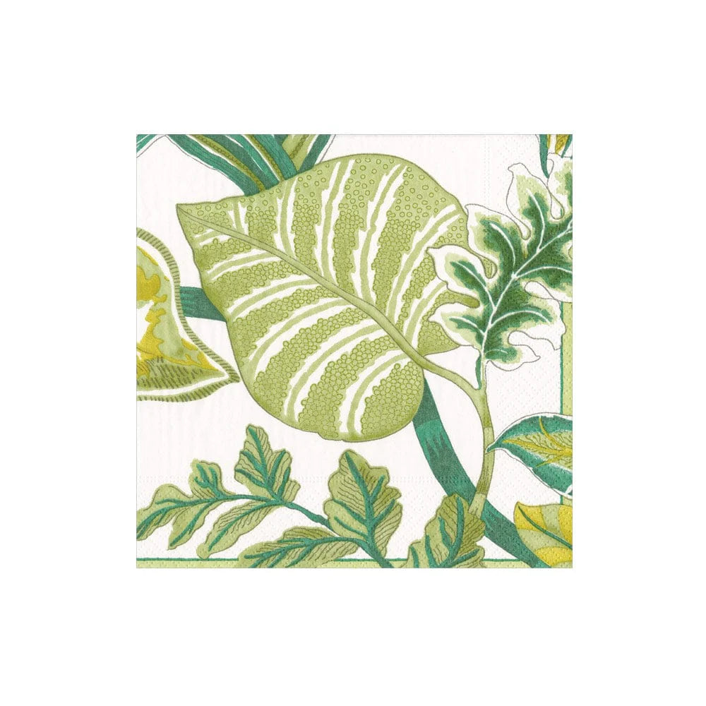 Caspari Florida Triple-Ply Paper Napkins in Ivory