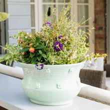 Load image into Gallery viewer, Vietri Giardino di Fiori Celadon Round Planter with flowers
