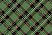 Load image into Gallery viewer, Green Plaid Placemats - 24pk
