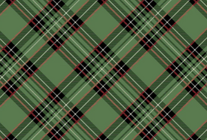 Green Plaid Placemats - 24pk