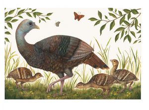 Heritage Hen Placemats