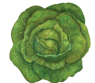 Hester & Cook Die Cut Cabbage Placemat - 12 Sheets
