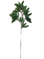 Pine Spray Tall - 34