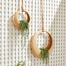 Load image into Gallery viewer, Two Bamboo Hanging basket on ropes with plants in the baskets
