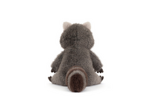 Load image into Gallery viewer, Stuffed animal raccoon toy on a white background
