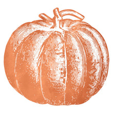 Load image into Gallery viewer, Hester &amp; Cook Die-cut Pumpkin Placemat orange and white pumpkins 
