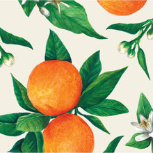 Load image into Gallery viewer, Hester &amp; Cook Orange Orchard Paper cocktail Napkin
