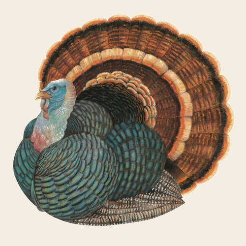 Hester & Cook Heritage Turkey Napkins