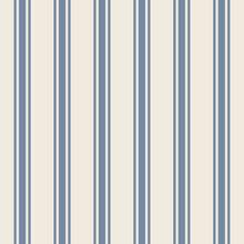Load image into Gallery viewer, blue and white striped napkins
