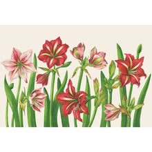 Load image into Gallery viewer, Placemat printed with red and pink Amaryllis flowers

