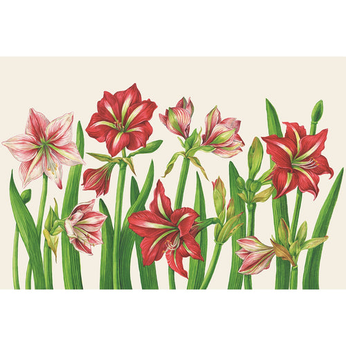 Placemat printed with red and pink Amaryllis flowers