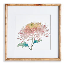 Load image into Gallery viewer, Colorful Chrysanthemum Prints, Assorted Designs
