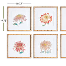 Load image into Gallery viewer, Colorful Chrysanthemum Prints, Assorted Designs
