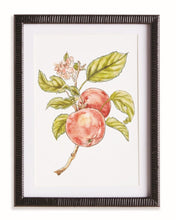Load image into Gallery viewer, Autumnal Fruit Prints
