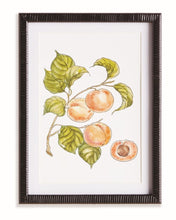 Load image into Gallery viewer, Autumnal Fruit Prints
