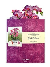 Load image into Gallery viewer, Orchid Oasis Pop-Up Greeting Card
