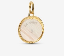 Load image into Gallery viewer, PANDORA Pegasus Medallion Charm
