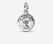 Load image into Gallery viewer, PANDORA Skull Medallion Charm
