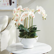 Load image into Gallery viewer, Phalaenopsis Orchid with several stems of flowers in a white bowl
