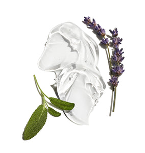 graphic of lotion with lavender and sage