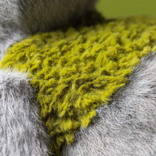 Load image into Gallery viewer, close up of green 'moss' on the Rockleton plush
