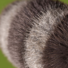 Load image into Gallery viewer, close up of long fur on the striped tail
