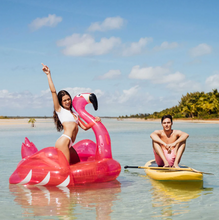 Load image into Gallery viewer, Clear Pink Glitter Flamingo Pool Float
