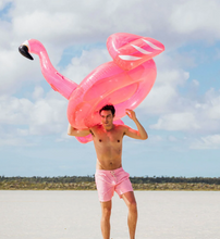 Load image into Gallery viewer, Clear Pink Glitter Flamingo Pool Float
