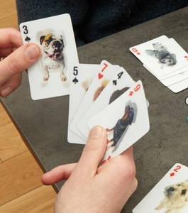 Playing Cards - Dogs 3D