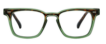Load image into Gallery viewer, Strut Reading Glasses - Green/Tortoise
