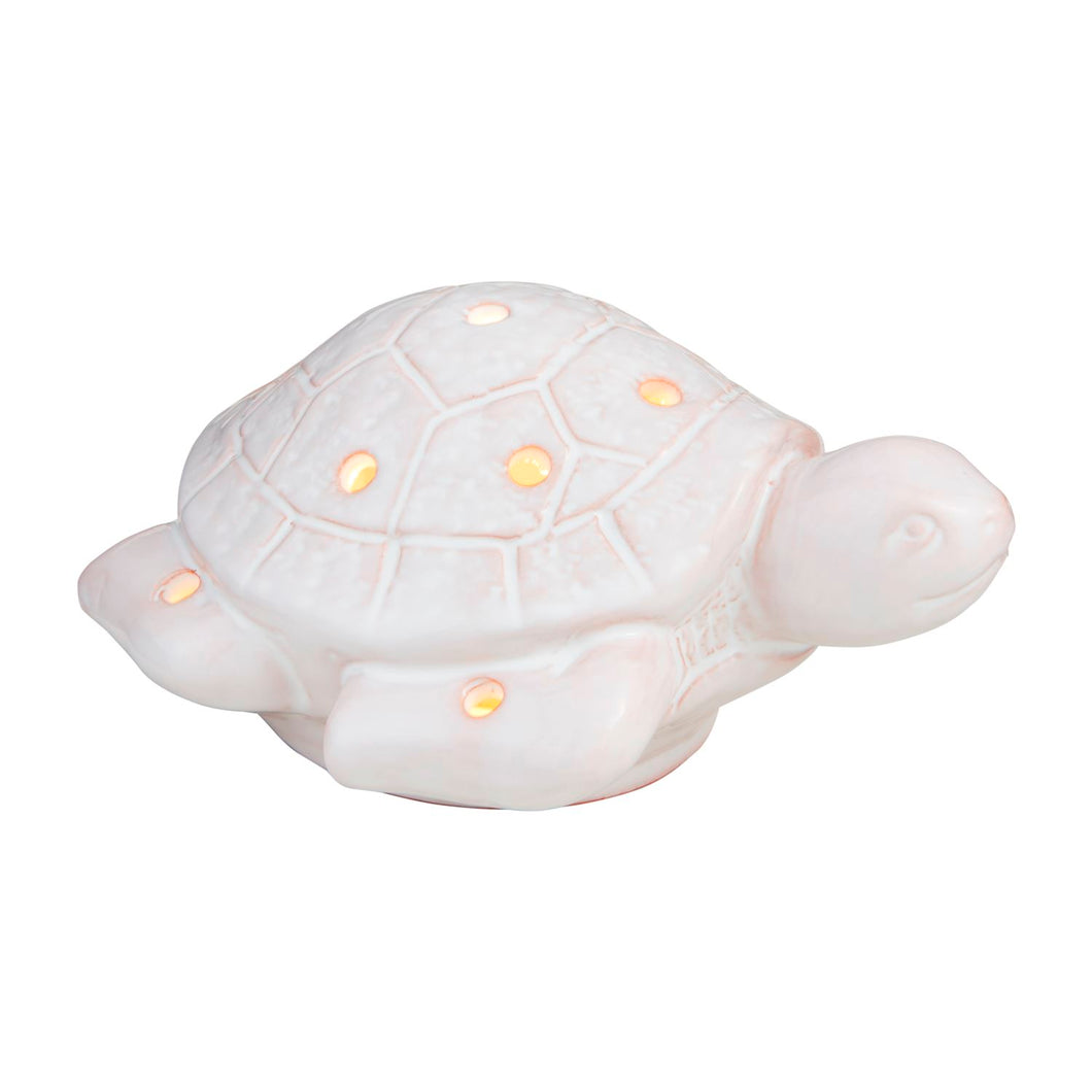 Sea Turtle Light-Up Sitter