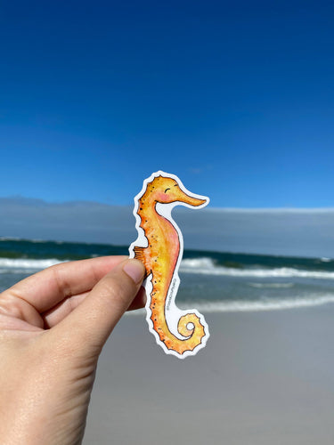 Sea Horse Sticker