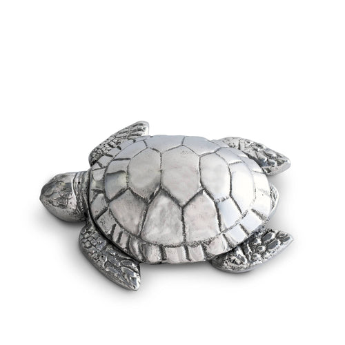 silver colored sea turtle