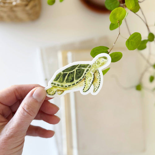 hand holding a Green Sea Turtle Sticker in a watercolor style