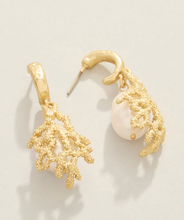Load image into Gallery viewer, Spartina 449 SP Bamboo Hoop Earrings Gold
