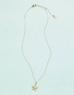 Spartina 449 Starfish Necklace, 18