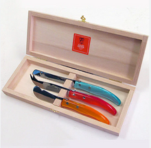 Load image into Gallery viewer, Claude Dozorme Berlingot Breakfast Knife Set - Summer Colors - Set of 3 - 7.5"L to 9"L
