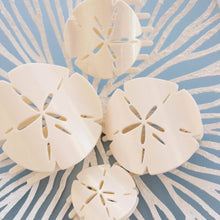 Load image into Gallery viewer, server sizes of the Sand Dollar Flat Shape Hair Clip
