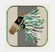 Longchamp Taste De Cheval Silk Scarf - 90x90