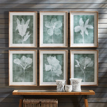 Load image into Gallery viewer, six white and green floral artworks
