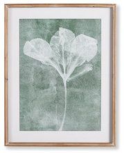 Load image into Gallery viewer, Green and white floral print
