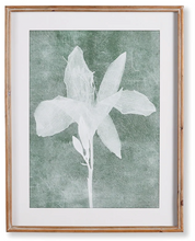 Load image into Gallery viewer, Green and white floral print
