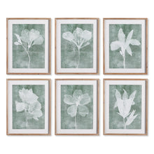 Load image into Gallery viewer, six white and green floral artworks
