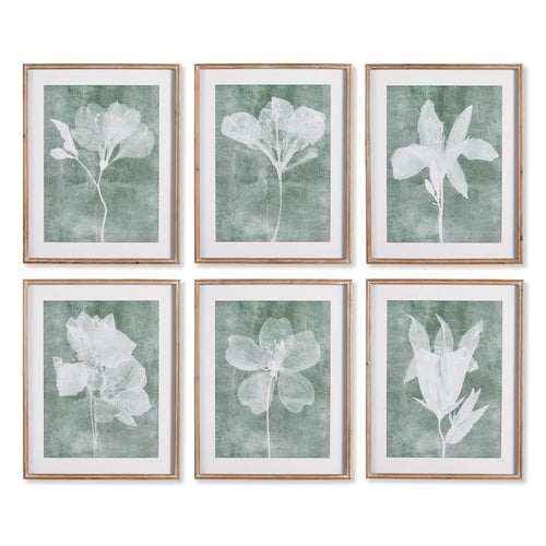 six white and green floral artworks