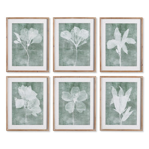 six white and green floral artworks