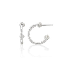 Load image into Gallery viewer, Berry Slice Small Hoop Earrings in silver, 3/4 hoop with a stud post with a berry at each end
