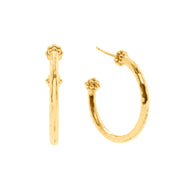 Capucine de Wulf Berry Slice Medium Hoop Earrings Gold